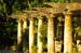 Vizcaya garden